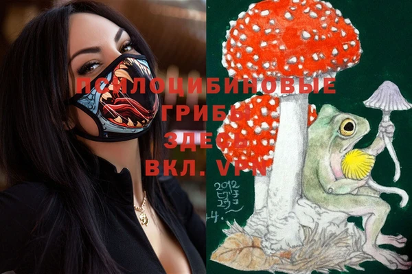 круглые Алексеевка