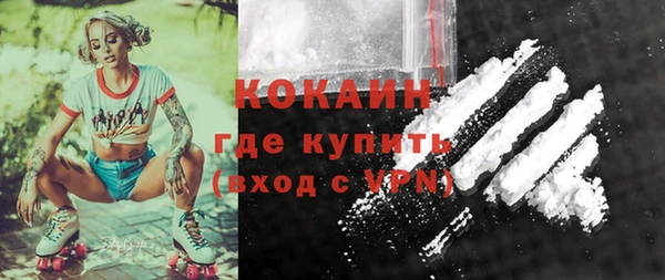 стафф Алексин