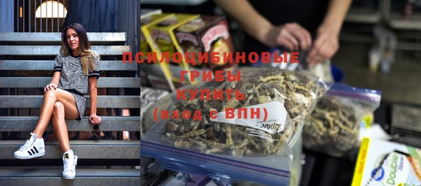 Альфа ПВП Алзамай