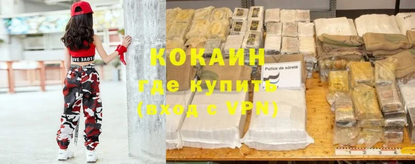 стафф Алексин