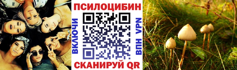 Псилоцибиновые грибы ЛСД  наркотики  Славск 