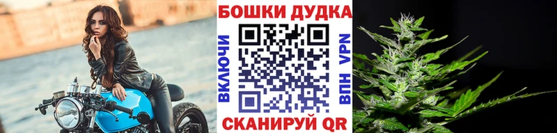 где продают   Славск  МАРИХУАНА тримм 
